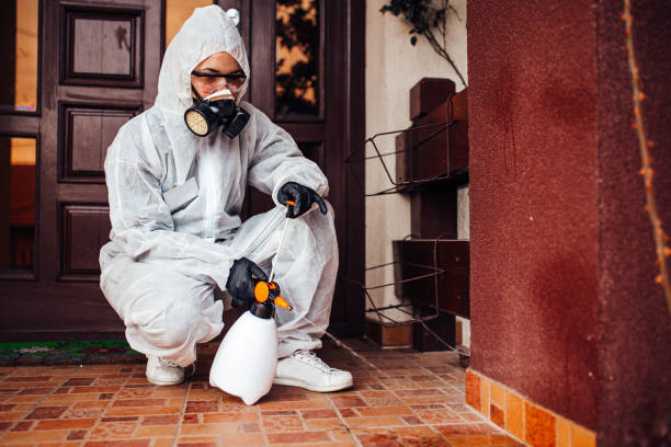 Reliable Wasp Removal contractor in Fort Myers Shores, FL by Show Me Pest Control