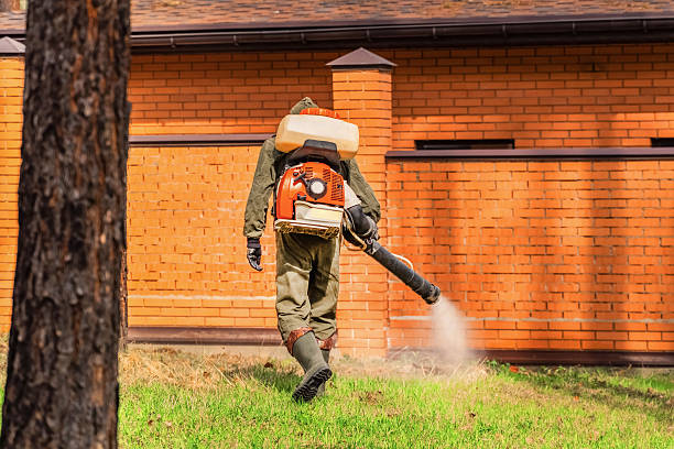 Top rated local Wasp Removal specialists in Fort Myers Shores, FL